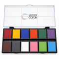 COLOR MATRIX 12-Color Face Paint Palette - 120g